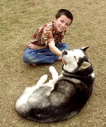 A boy and our husky dog.