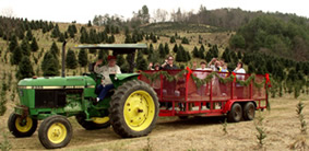 Santa's Hayride