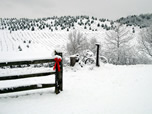 RIF gate