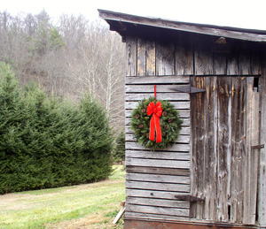 shed with hanging wreath