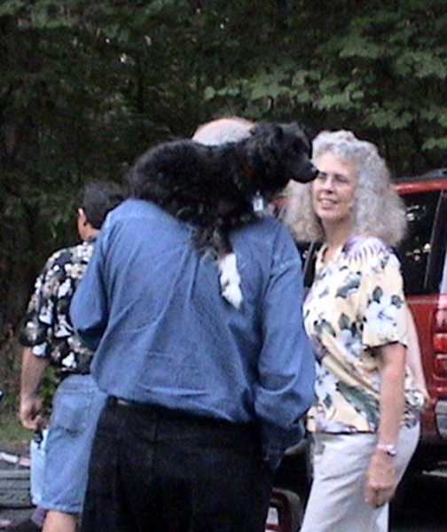 cc2006006