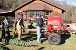 baling trees