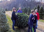 family with tree